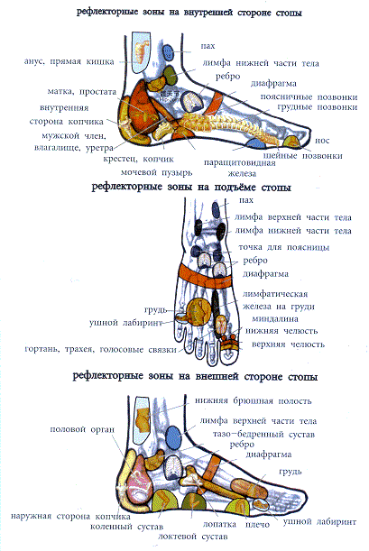 Акупрессура лечит посредством нажатия пальцами - student2.ru