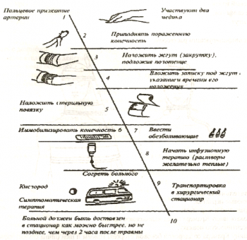 Алгоритм действия при остановке артериального кровотечения из ран верхней и нижней конечности - student2.ru