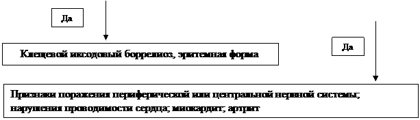 Алгоритм по диагностике клещевого иксодового боррелиоза (острое течение болезни) - student2.ru