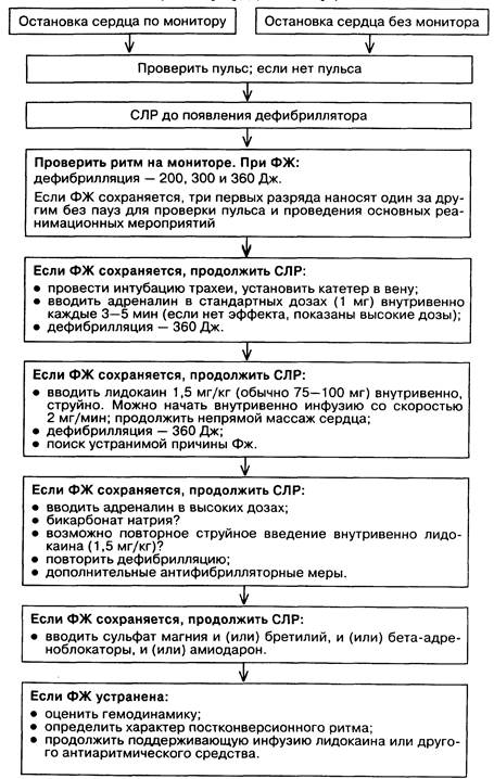 Алгоритм при фибрилляции желудочков (по К. Гроер, Д. Кавалларо) - student2.ru
