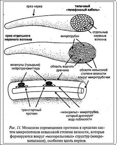 алкоголь - student2.ru