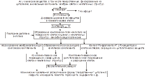 Аллергические реакции типа II - student2.ru