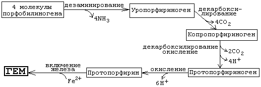 алликреин – кинин жүйесі. Қосымша3. - student2.ru