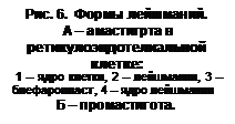 Анализ и Подведение итогов занятия. - student2.ru