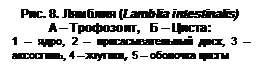 Анализ и Подведение итогов занятия. - student2.ru