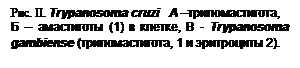 Анализ и Подведение итогов занятия. - student2.ru