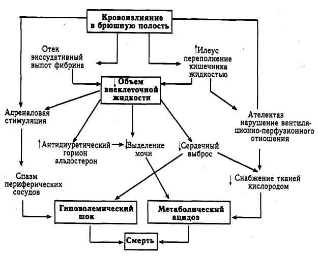 Анатомия и физиология пищевода - student2.ru