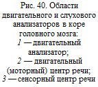 Анатомо-физиологические особенности небно-глоточного аппарата - student2.ru