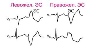 Анатомо-физиологические особенности сердца - student2.ru