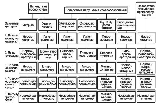 Анемии. Патологические формы эритроцитов - student2.ru