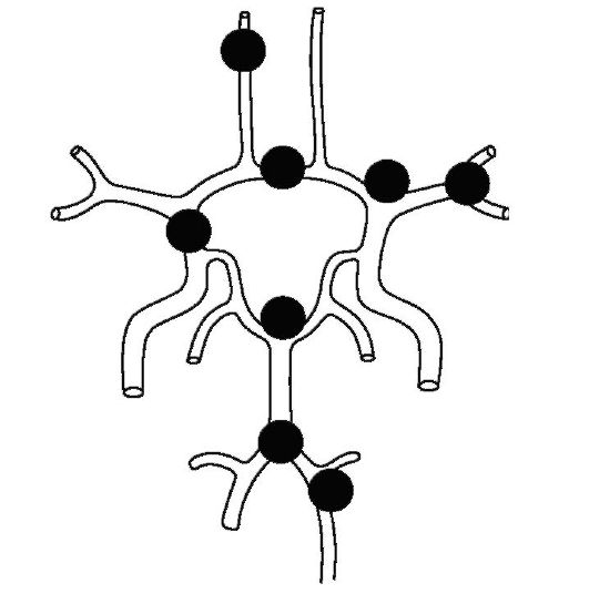 аномалии сосудов головного мозга - student2.ru