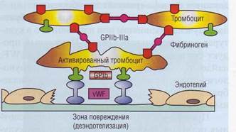 Антигепариновый фактор тромбоцитов (фактор 4 тромбоцитов, ф.4, PF4) - student2.ru