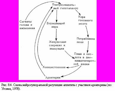 Аппетит и кишечная гормональная система - student2.ru