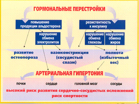 Артериальная гипертензия, влияние женского пола - student2.ru