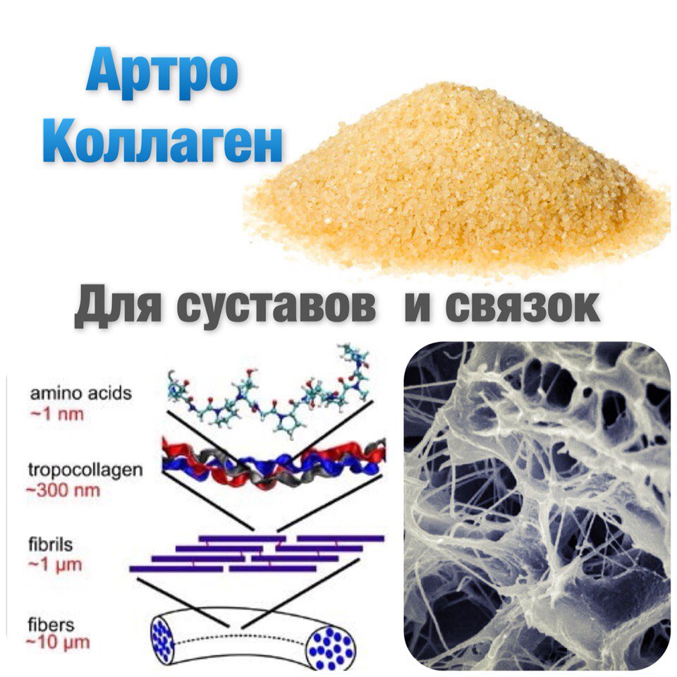 АРТРО – гидролизованный коллаген - student2.ru