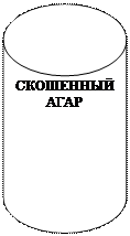 Аудиторная самостоятельная работа студентов. ♦ ИзучитьОрганизацию микробиологической лабораторной службы и правила работы в лаборатории, используя материалы по дисциплине - student2.ru