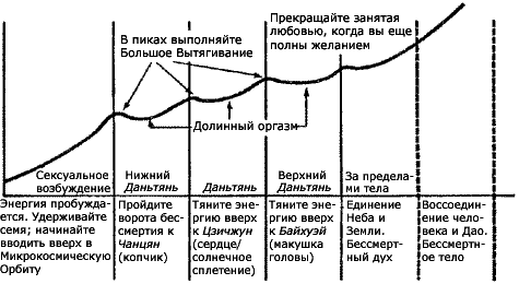 Автоматический мысленный контроль за эякуляцией - student2.ru