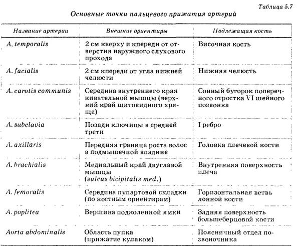 B. Искусственная вентиляция легких - student2.ru