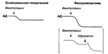 Б. Средства, блокирующие адренергические синапсы - student2.ru