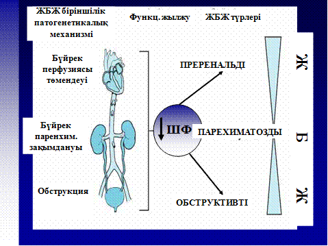 бҮйректіҢ жедел жетіспеушілігі - student2.ru