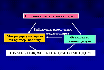 бҮйректіҢ жедел жетіспеушілігі - student2.ru