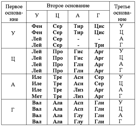 Белковые факторы, необходимые для биосинтеза ДНК. - student2.ru