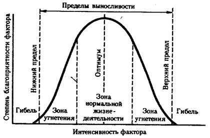 биогеоценотический уровень организации жизни - student2.ru