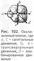 Биомеханика височно-нижнечелюстного сустава - student2.ru