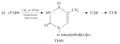 Биосинтез пиримидиновых нуклеотидов - student2.ru