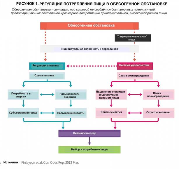 Больше углеводов, выше сытость? - student2.ru