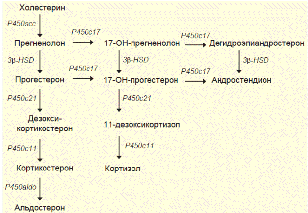 болжамы - student2.ru