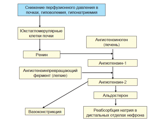 болжамы - student2.ru