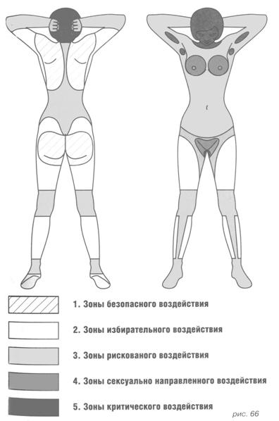 Центральная и периферическая нервные системы - student2.ru