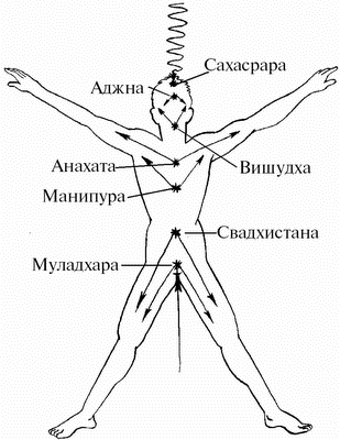 Чакры — энергетические центры человека - student2.ru