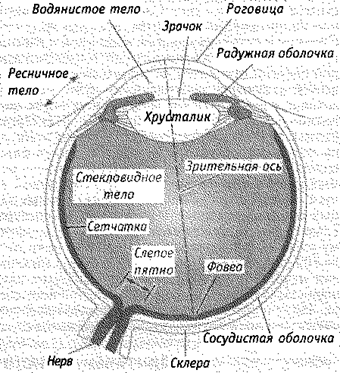 Часть III. Сознание и восприятие - student2.ru