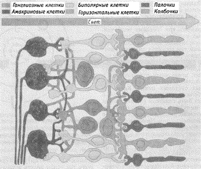 Часть III. Сознание и восприятие - student2.ru