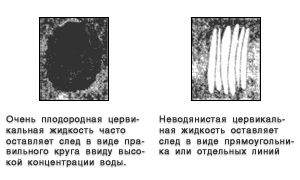 часть первая. новое восприятие проблемы рождаемости - student2.ru