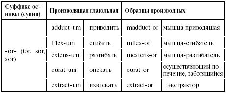 Частотные латинские и греческие суффиксы - student2.ru