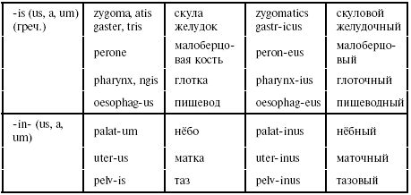 Частотные латинские и греческие суффиксы - student2.ru