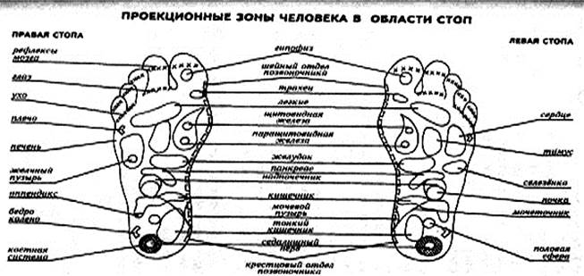 чистка продолжается. желчный пузырь и печень - student2.ru