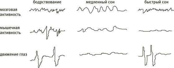 Что говорит нам о мире здоровый мозг - student2.ru