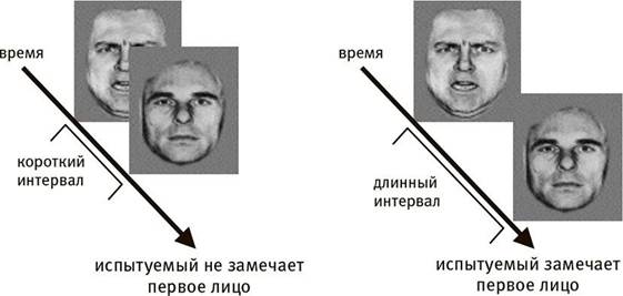 Что говорит нам о мире здоровый мозг - student2.ru