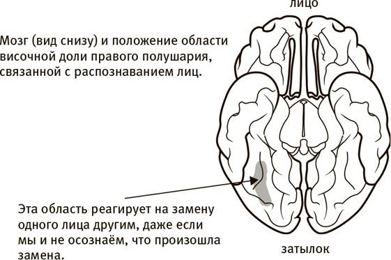 Что говорит нам о мире здоровый мозг - student2.ru