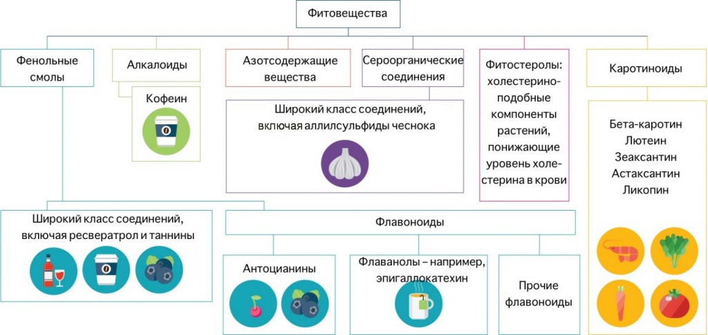 Что мы узнали нового о питании за последние пять лет? - student2.ru