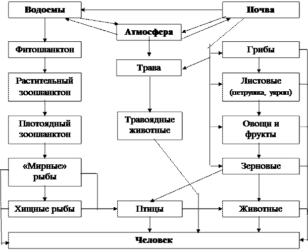 Чужеродными химическими веществами - student2.ru