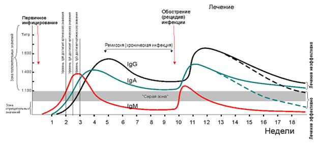 цикл v «прикладная иммунология» - student2.ru