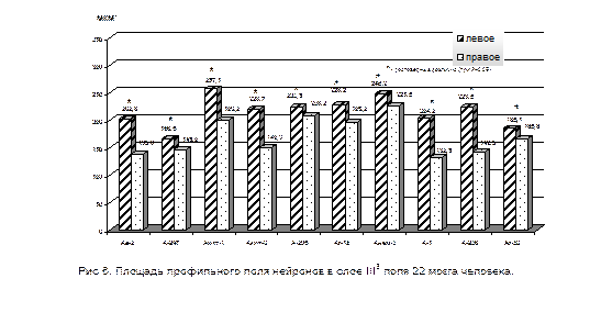 цитоархитектоническая асимметрия корковых полей и хвостатого ядра мозга человека - student2.ru