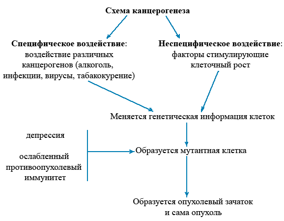 Дать характеристику опухолевого процесса. Предопухолевые состояния и изменения, их сущность и морфологическая характеристика - student2.ru