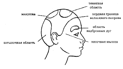 Давление на плоскую часть лопатки - student2.ru