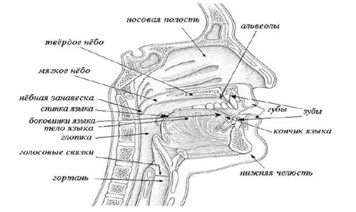 Дайте описание смешанной ринолалии - student2.ru